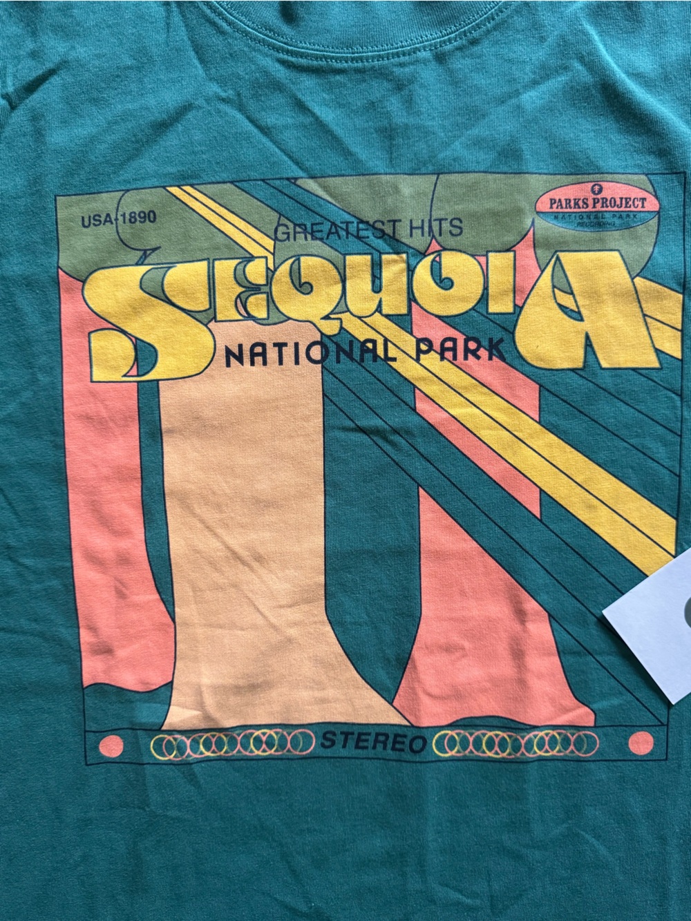 Parks Project Sequoia National Park Graphic Tee - Teal - Picture 2 of 4